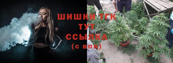 мет Бородино