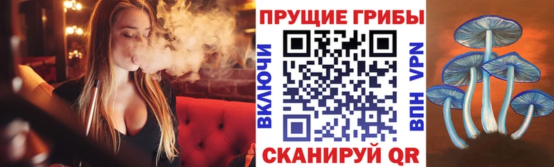 Галлюциногенные грибы Cubensis маркетплейс Telegram Киселёвск ОМГ ОМГ ONION